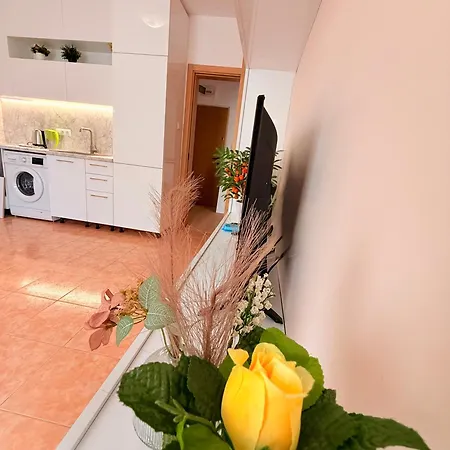 Apartman One